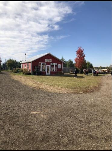 RIchardson's Farm 2019